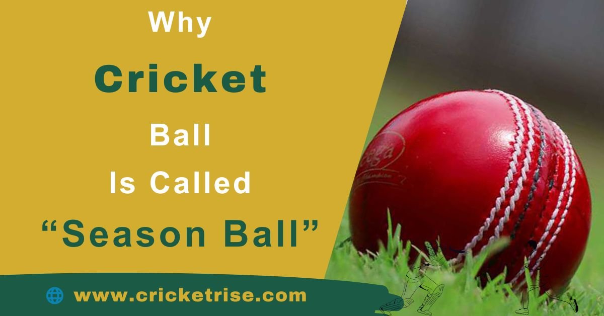 Why Is a Cricket Ball Called a Season Ball?