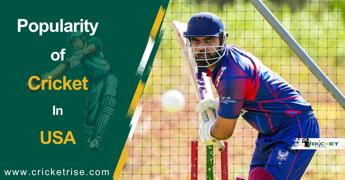 Is Cricket Popular in The USA