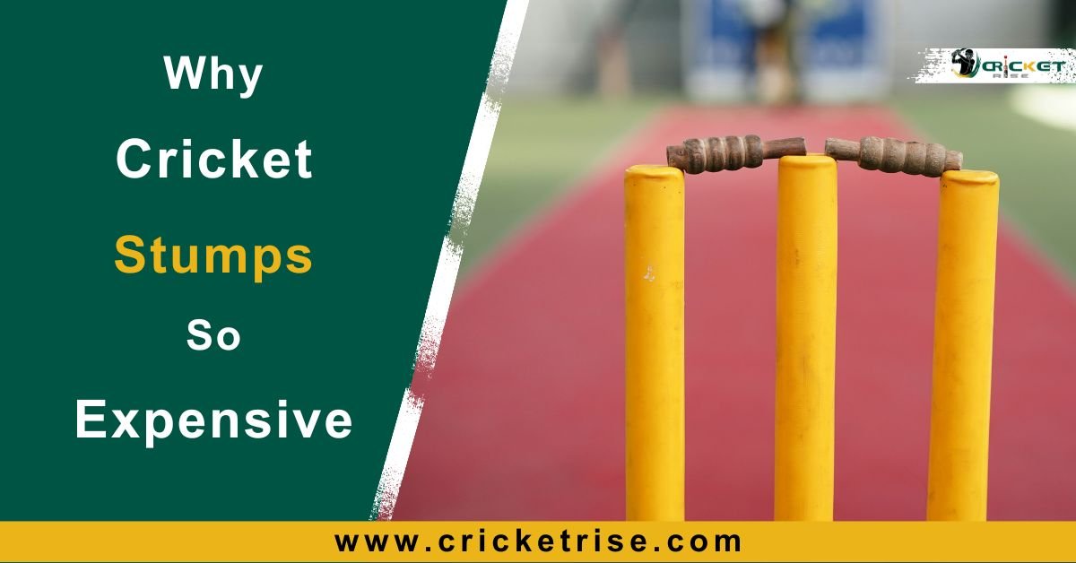 Why Are Cricket Stumps So Expensive