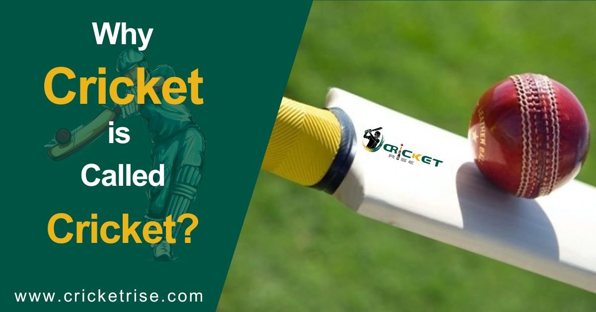 Why is Cricket Called Cricket?