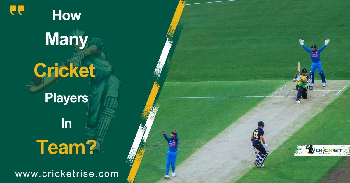 How Many Players Are in a Cricket Team?