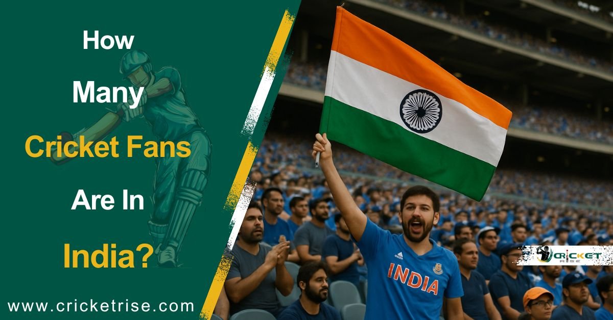 How Many Cricket Fans Are in India