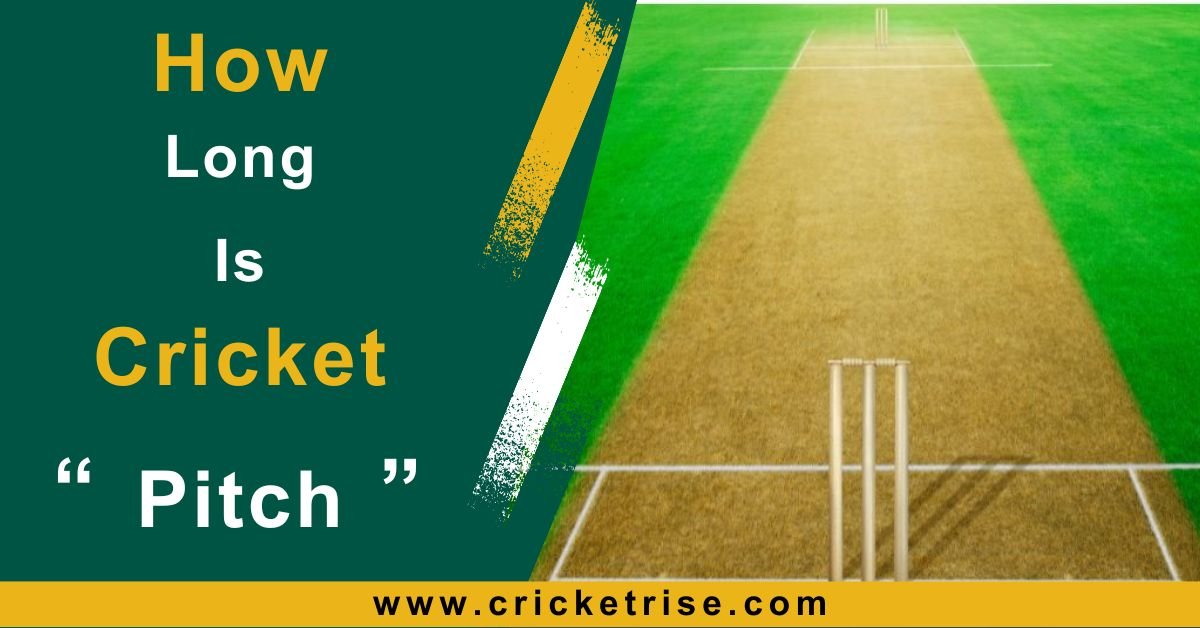 What is the Length of a pitch in cricket?