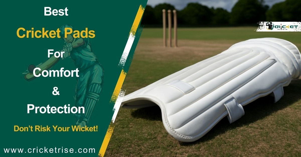 Best Cricket Pads for Comfort & Protection